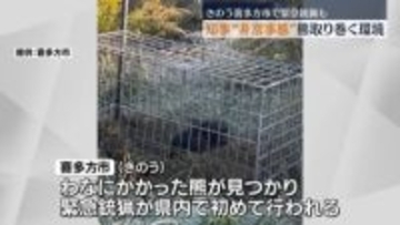 熊被害が相次ぐ福島県　知事「緊急的な対策を進める」16日は初の緊急銃猟も