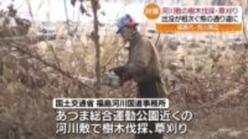 「地域の方々の安全安心に…」福島市で“クマの通り道”となる河川敷の樹木を伐採