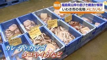 「今まで入らなかった魚が入る」 底曳網漁解禁 漁師が感じる海の変化　福島・いわき