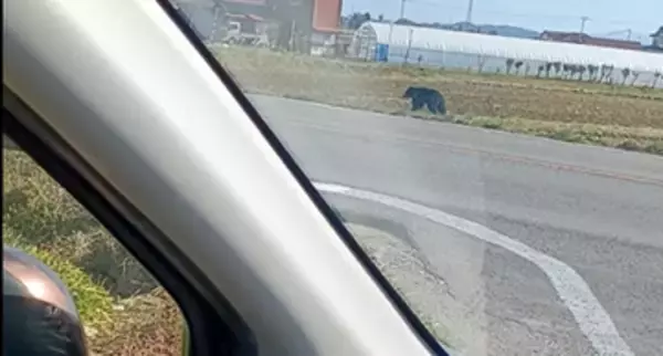 【速報】郡山市が緊急銃猟でクマを駆除