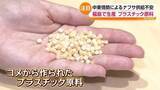 「中東情勢によるナフサ供給不安　コメから作られたプラスチック原料「ライスレジン」・福島」の画像1