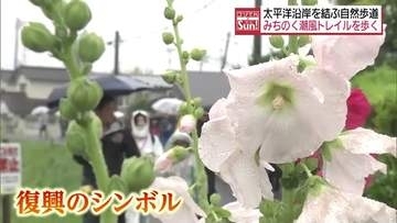 「復興の一部を感じられた」太平洋沿岸を結ぶ道路「みちのく潮風トレイル」を歩くイベント