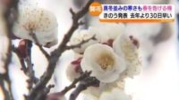 「ぜひ自分の花を咲かせてほしい」春を告げる梅の花が去年より1か月ほど早く…　福島