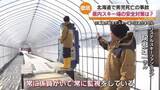「「目視して確認するというのが一番大事」県内スキー場の安全対策は？北海道で男児死亡の事故・福島」の画像1