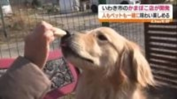 「あっ、はじめてだ！おいしいんじゃない？」ペットも食べられるかまぼこ「おやつはんぶんこ」　福島