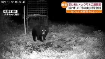 変わるヒトとクマとの境界線　生々しい爪痕「恐ろしい」・福島