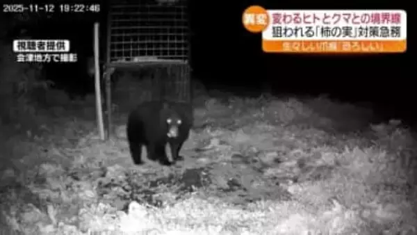 変わるヒトとクマとの境界線　生々しい爪痕「恐ろしい」・福島