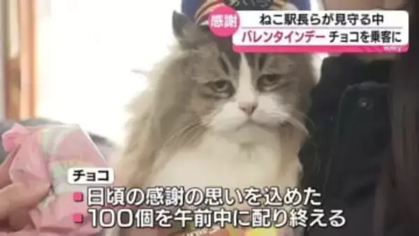 「可愛かった」ねこ駅長が出迎える会津鉄道の駅でチョコをプレゼント・福島