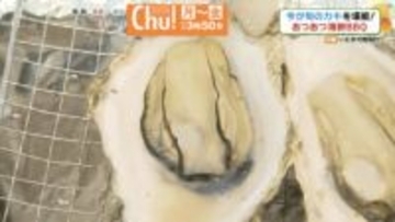 いわき市の出張カキ小屋であつあつ海鮮バーベキューを楽しむ！今が旬のカキを堪能！