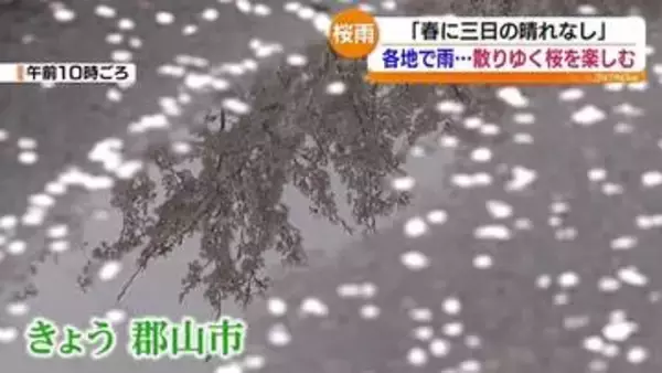 あいにくの天気だけど…各地でお花見を楽しむ　福島