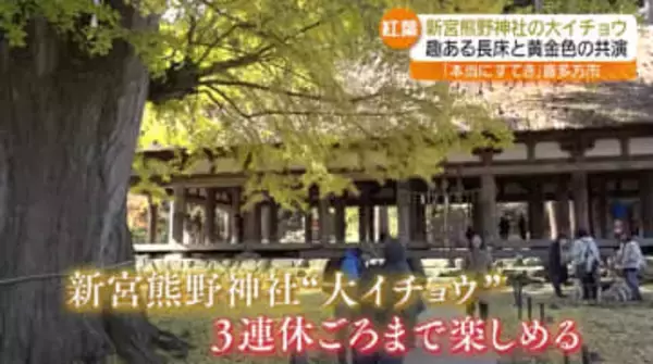 新年を迎える準備も着々…紅葉を楽しむには絶好の一日に　福島