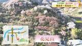 「福島の桃源郷「花見山公園」に咲き誇る花々！春を満喫できる福島県内各地の景色やグルメをご紹介！」の画像1