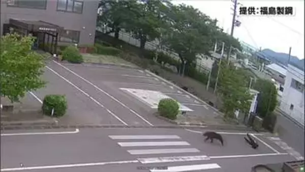 福島市で男女4人がクマに襲われる　防犯カメラ映像には“どう猛なクマ”の姿が…従業員を追い回して引き倒し走り去る