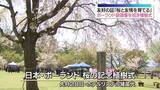 「「桜と友情を育てる」ポーランドを招いて桜の植樹　福島・猪苗代町」の画像1