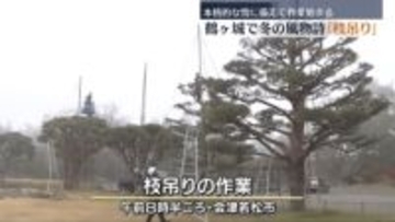 「今年ももうすぐ終わるのかな」本格的な雪に備えて…鶴ヶ城で冬の風物詩「枝吊り」　福島