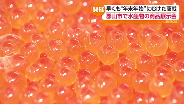 年末年始のマグロ・カニ・エビは？ 郡山市場で水産物展示会 価格高騰続く　福島
