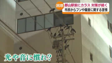 「ごみ出しのルールを…」カラス対策…効果は出ているの？　福島