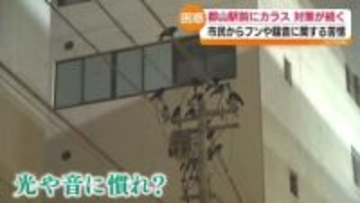 「ごみ出しのルールを…」カラス対策…効果は出ているの？　福島