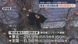 「全国各地で被害が相次ぐ熊　東北で約３割の企業「熊の影響が出ている」　熊対策への投資など」の画像1