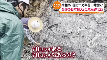 約1億6千万年前の地層から長さ70センチの恐竜の足跡化石　福島