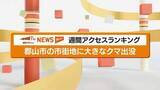 「郡山市の民家の庭に大きなクマの足跡が…市内中心部にクマ出没ニュースを深掘り　福島」の画像1
