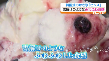 進化するかき氷に注目　紅茶尽くしから韓国式まで