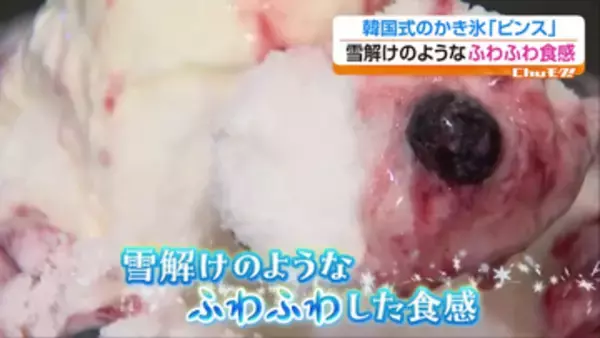 進化するかき氷に注目　紅茶尽くしから韓国式まで