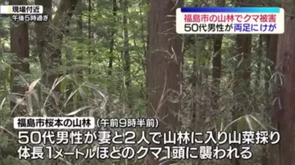 「福島市の山林で体長１メートルほどのクマに襲われる被害　５０代男性が両足けが」の画像