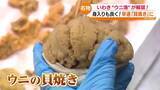 「いわき名物ウニ漁が解禁 「ウニの貝焼き」販売へ 小名浜で初水揚げ約40キロ　福島」の画像1