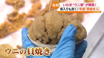 いわき名物ウニ漁が解禁 「ウニの貝焼き」販売へ 小名浜で初水揚げ約40キロ　福島