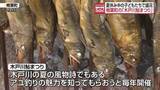 「つかみ取り体験も！夏の風物詩「木戸川鮎祭り」開催　福島・楢葉」の画像1