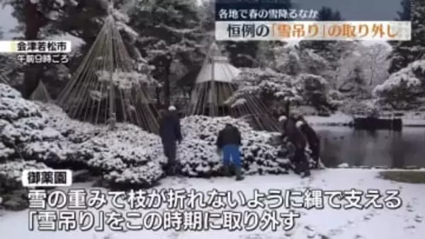 春の雪降るなか…会津若松市の観光庭園で恒例の「雪吊り」の取り外し