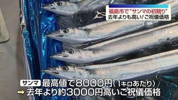 「鮮度や形は良いが小さいものが多い」福島市でサンマの初競り