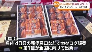 「最高のでき」甘み十分の“あんぽ柿”が全国へ・福島