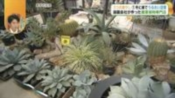 3つの癒やしの空間を一度に楽しめる場所!? 造園会社が手がける観葉植物専門店・陶器店・カフェで安らぎを！