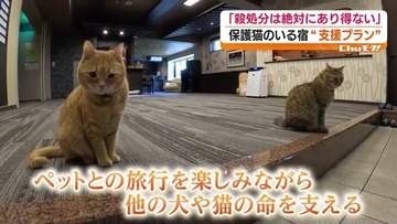 ペットと一緒に宿泊しながら…他の犬や猫の命を支える　福島市の旅館に注目