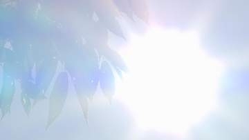 福島県を含む東北南部で梅雨明け　東北北部も　去年よりも2週間以上遅い梅雨明けに