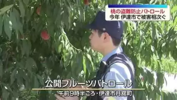 「しない・させない・見逃さない」桃の盗難相次ぐ伊達市　警察と住民が見守り強化
