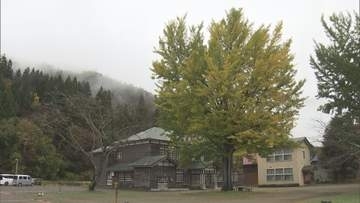 昭和村の大イチョウが黄葉　旧喰丸小で秋深まる　今週末から見頃へ・福島