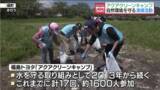「塙町でアクアクリーンキャンプ　久慈川沿いをごみ拾い」の画像1