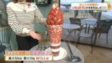 重さ5kgの巨大いちごパフェはスコップで！？　24品種のいちご狩りも5月末まで受け付け中！