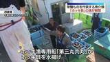「常磐ものを代表する魚介類「ホッキ貝」の漁が解禁　福島」の画像1