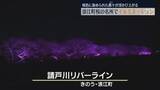「浮かび上がる桜色の木々…浪江町の桜の名所「請戸川リバーライン」でイルミ―ネーション」の画像1