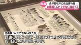 「ダジャレではありません。「ムシできない虫たち」会津若松市の県立博物館で開催」の画像1
