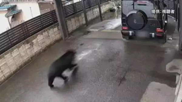 防犯カメラがとらえた“黒い物体”　会津若松市の住宅地を駆け抜けるクマ撮影される