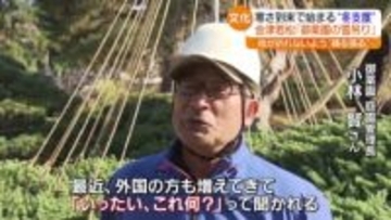 「最近、外国の方も増えてきて…」会津若松市の御薬園で“雪吊り”　福島