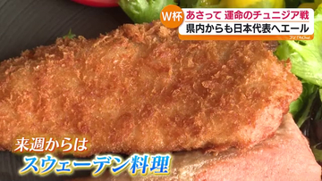 W杯チュニジア戦へ　Jヴィレッジでチュニジアを“食らいつくす”！　福島