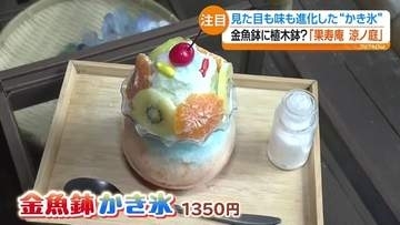 猛暑で人気高まる“進化系かき氷”　金魚鉢や植木鉢、コーヒー専門店の逸品も