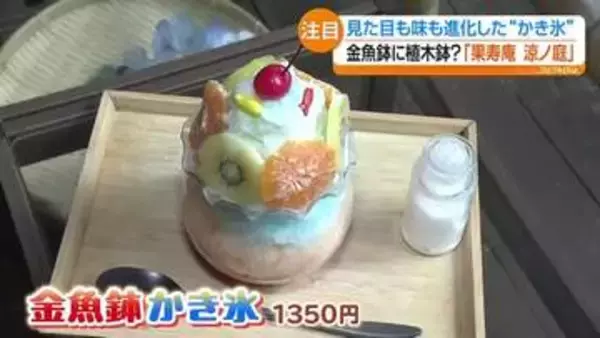 猛暑で人気高まる“進化系かき氷”　金魚鉢や植木鉢、コーヒー専門店の逸品も
