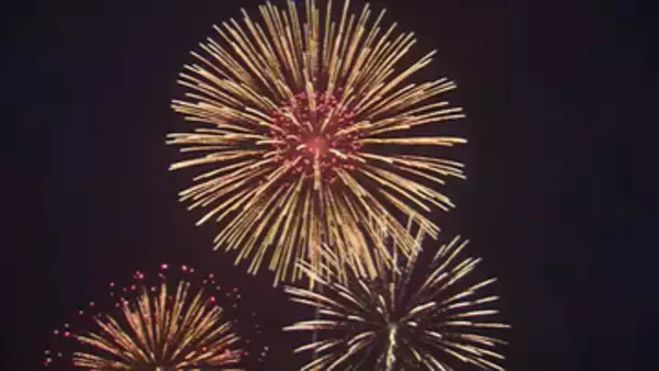 「地域のみんなで盛り上がれるイベント」大輪の花火が夜空を彩る　第48回ふくしま花火大会